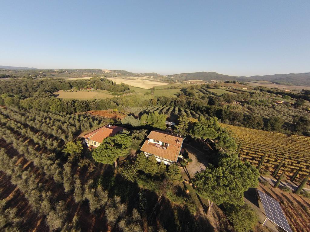 La Sassetta Bibbona Exterior foto