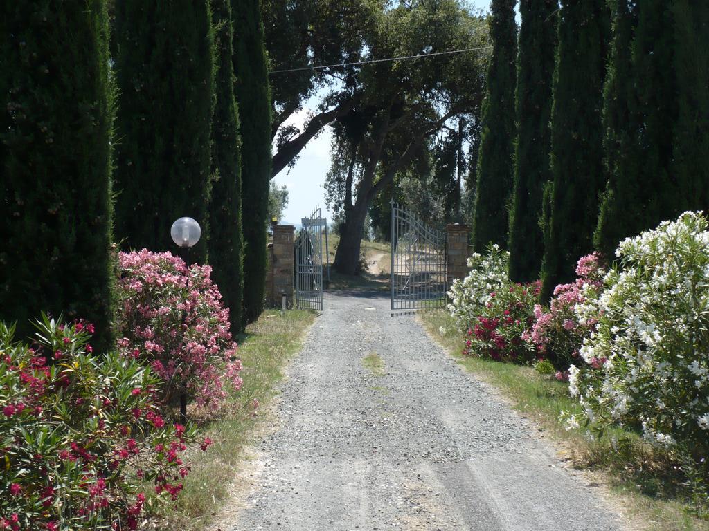 La Sassetta Bibbona Exterior foto