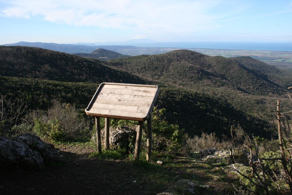 La Sassetta Bibbona Exterior foto